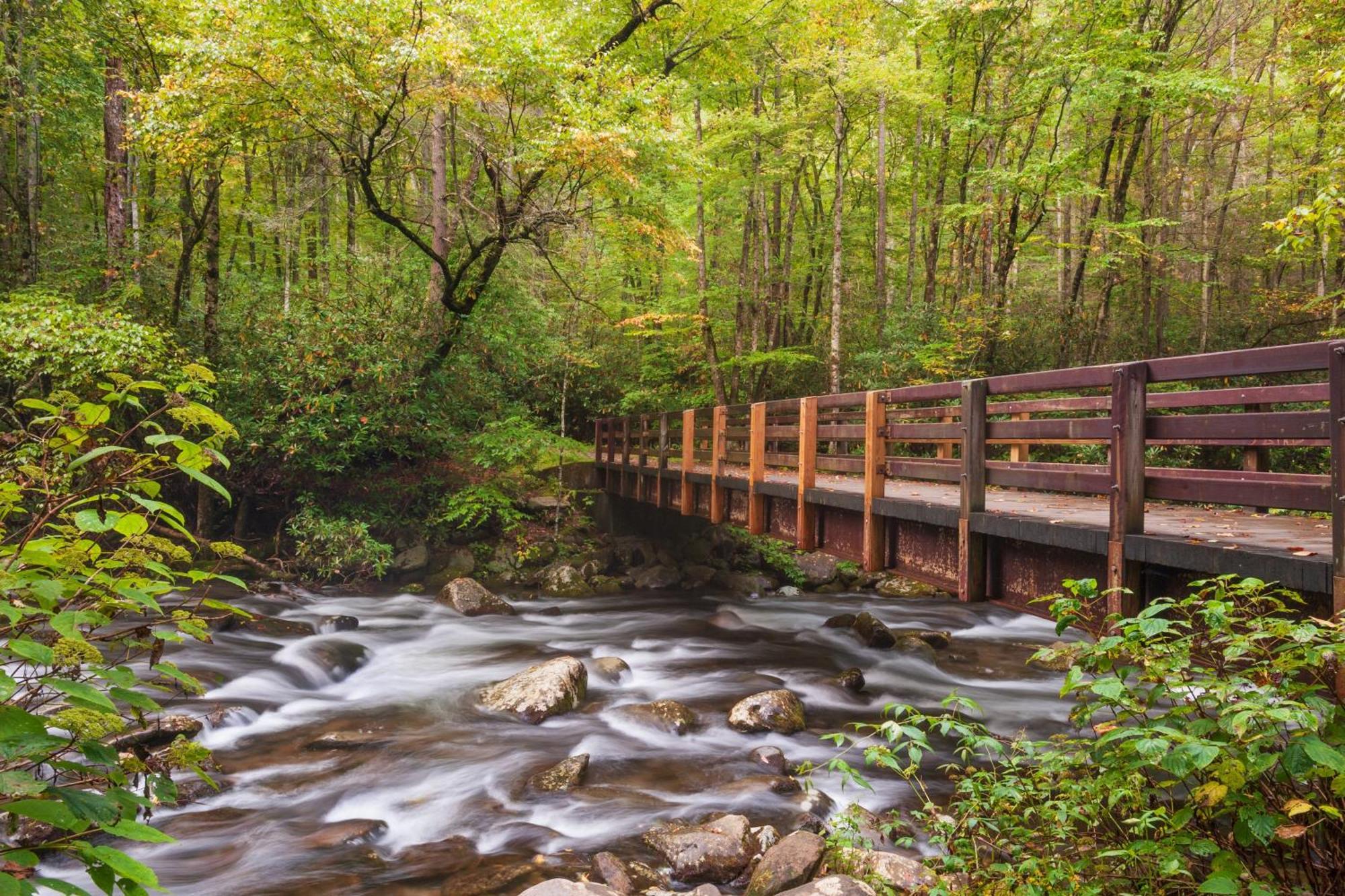 Key Lime Pie, Hot Tub,Wifi, 1089 Free Tickets Each Paid Day, Dollywood And More Gatlinburg Exterior photo